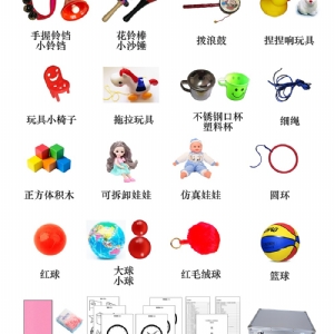 BSID貝利嬰幼兒發展量表Bayley工具箱包